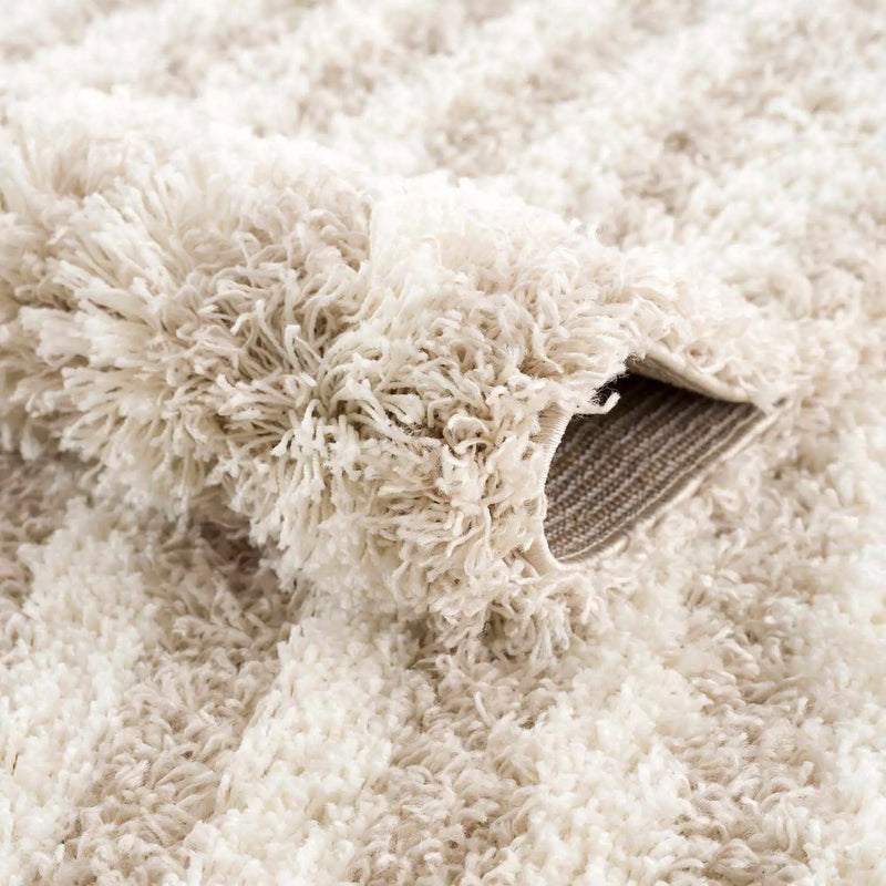 Emmly Shag Area Rug by Boutique Rugs