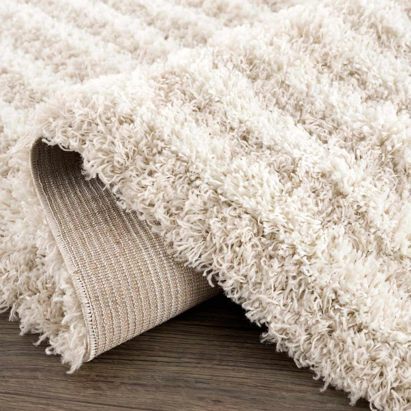 Emmly Shag Area Rug by Boutique Rugs