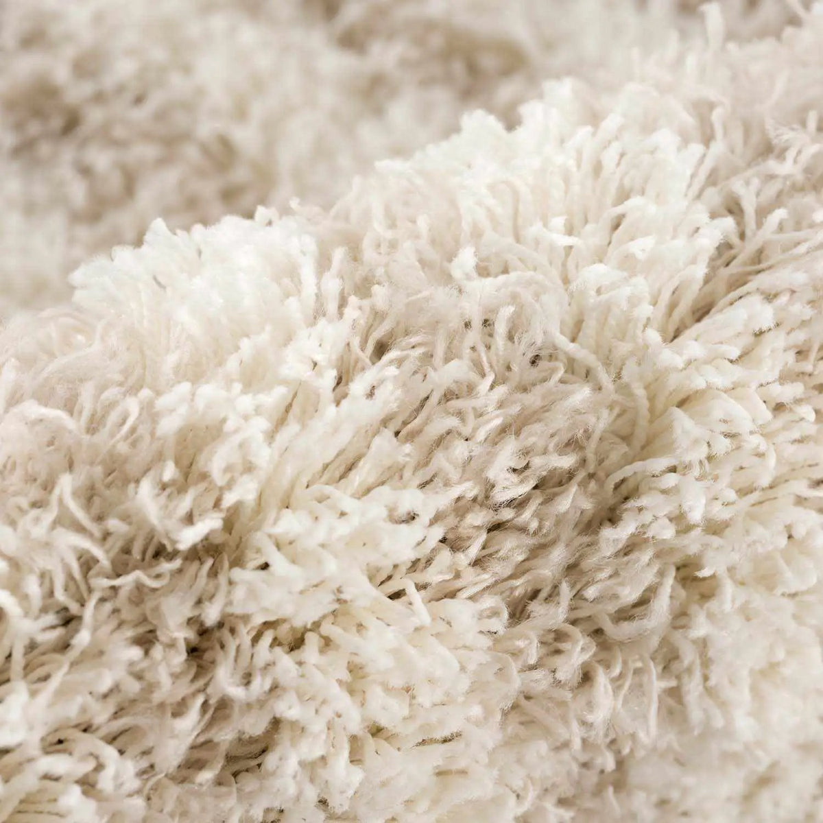 Emmly Shag Area Rug, photo 10 of 12