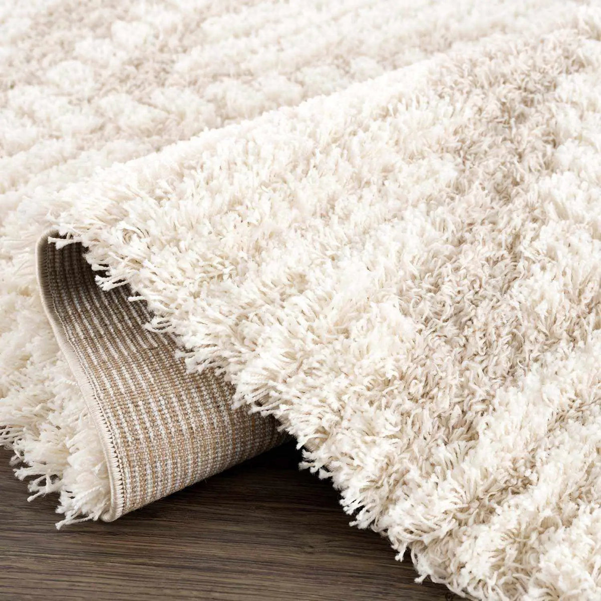 Igor Shag Area Rug, photo 6 of 13