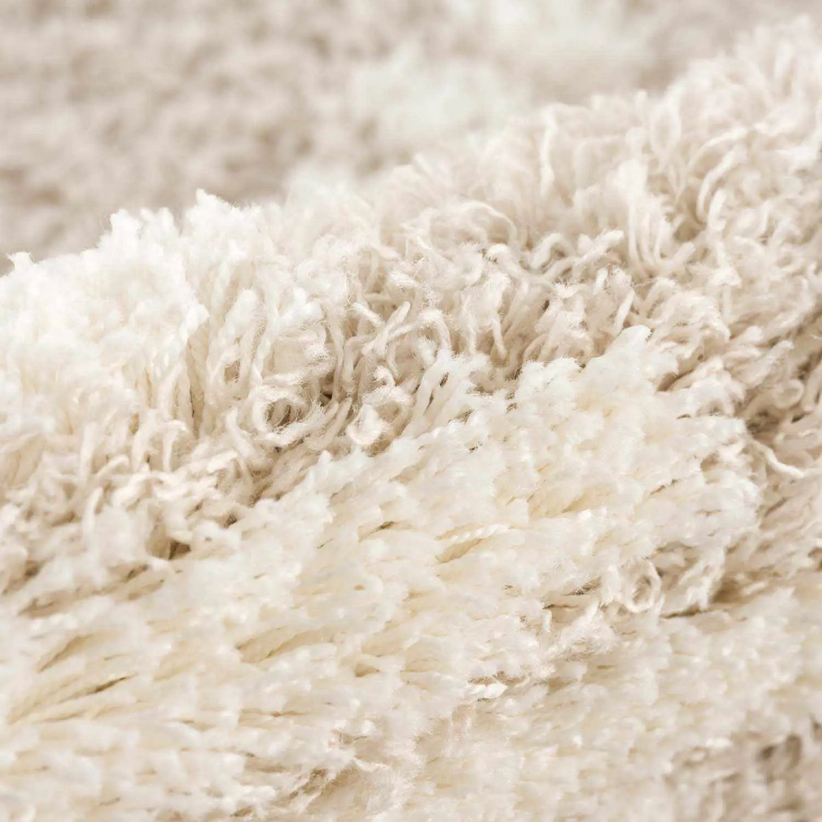 Igor Shag Area Rug, photo 11 of 13