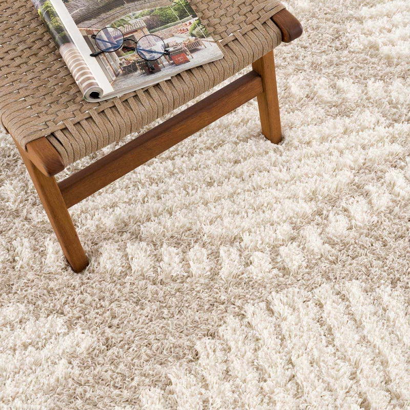 Igor Shag Area Rug by Boutique Rugs