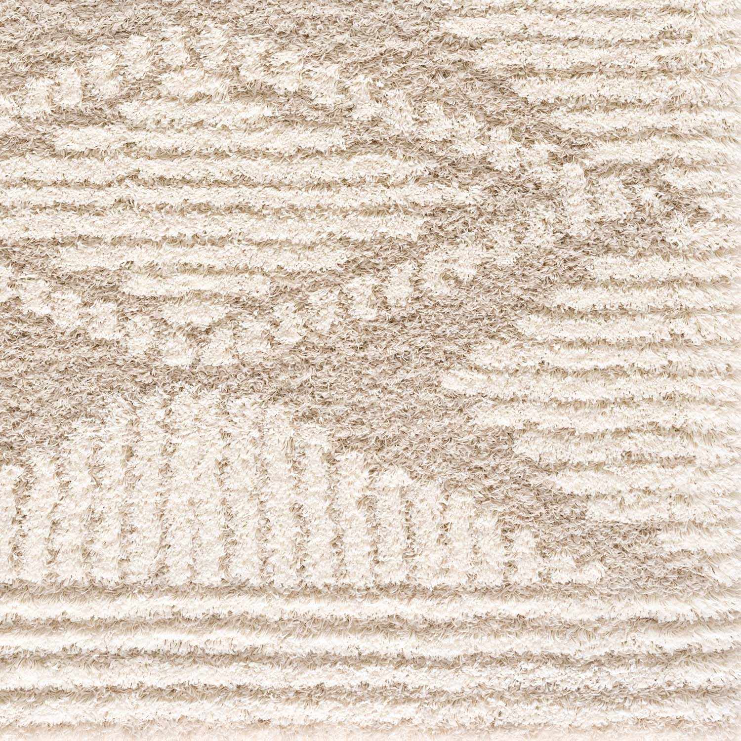 Igor Shag Area Rug by Boutique Rugs