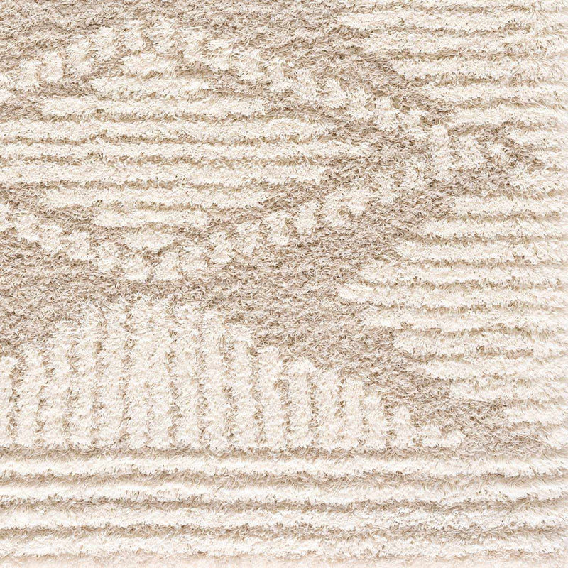 Igor Shag Area Rug by Boutique Rugs