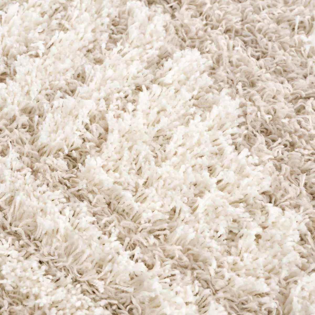 Igor Shag Area Rug, photo 10 of 13