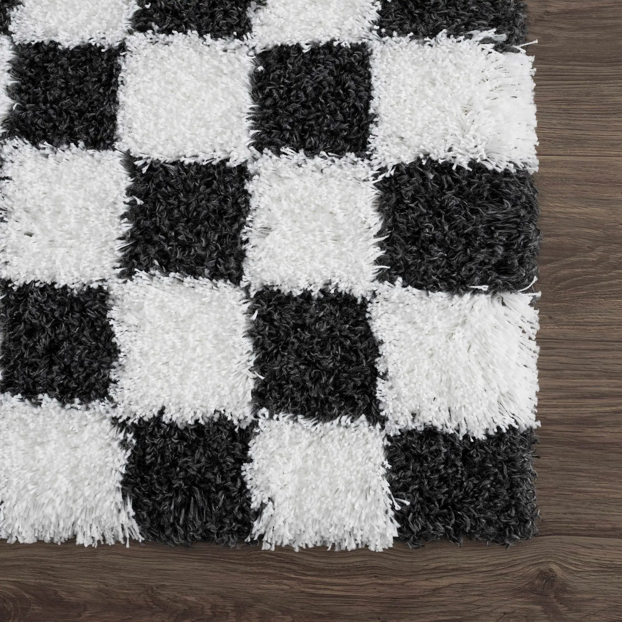 Atira Black & White Checkered Area Rug by Hauteloom