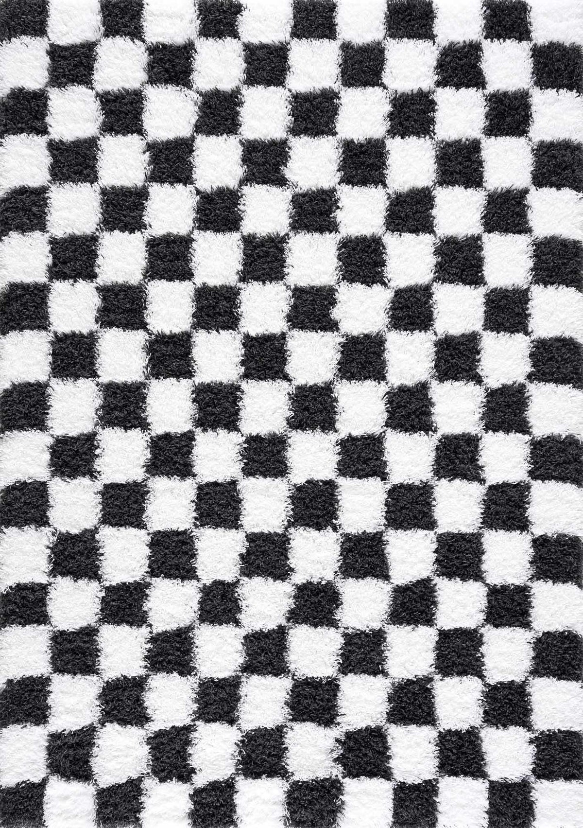 Atira Black & White Checkered Area Rug, photo 2 of 18