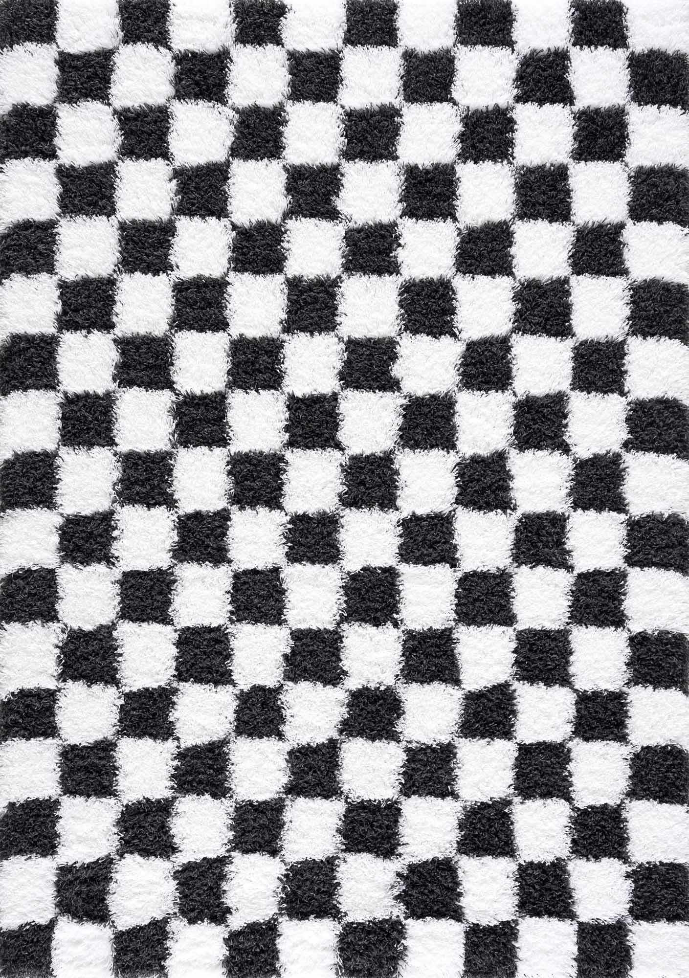 Atira Black & White Checkered Area Rug by Hauteloom