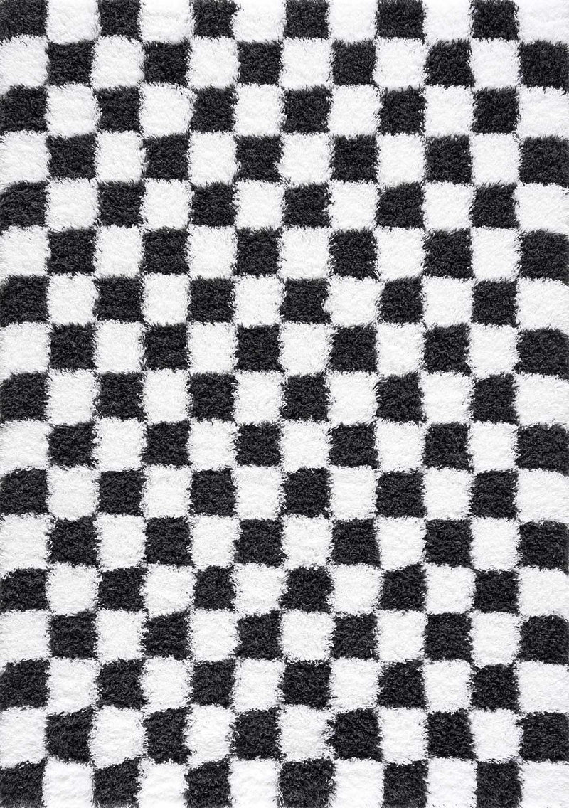 Atira Black & White Checkered Area Rug by Hauteloom