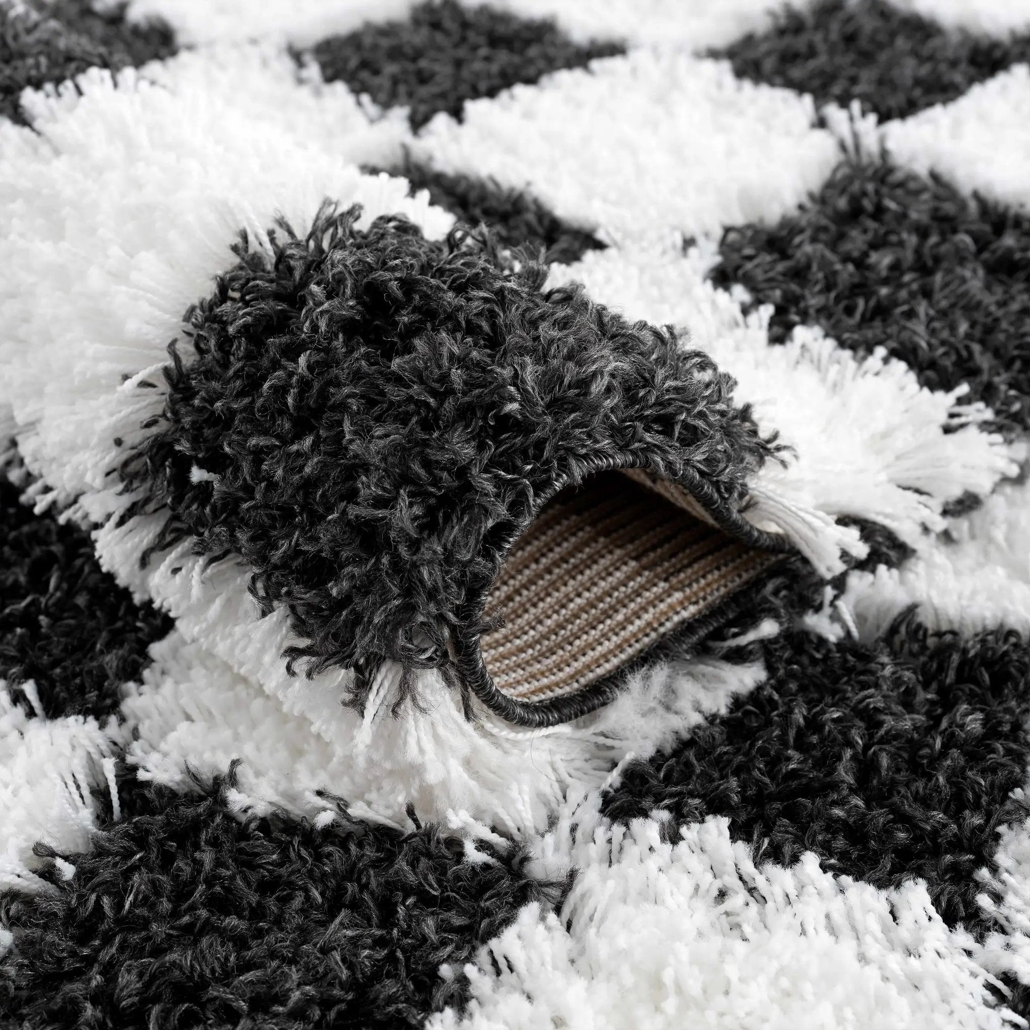 Atira Black & White Checkered Area Rug by Hauteloom