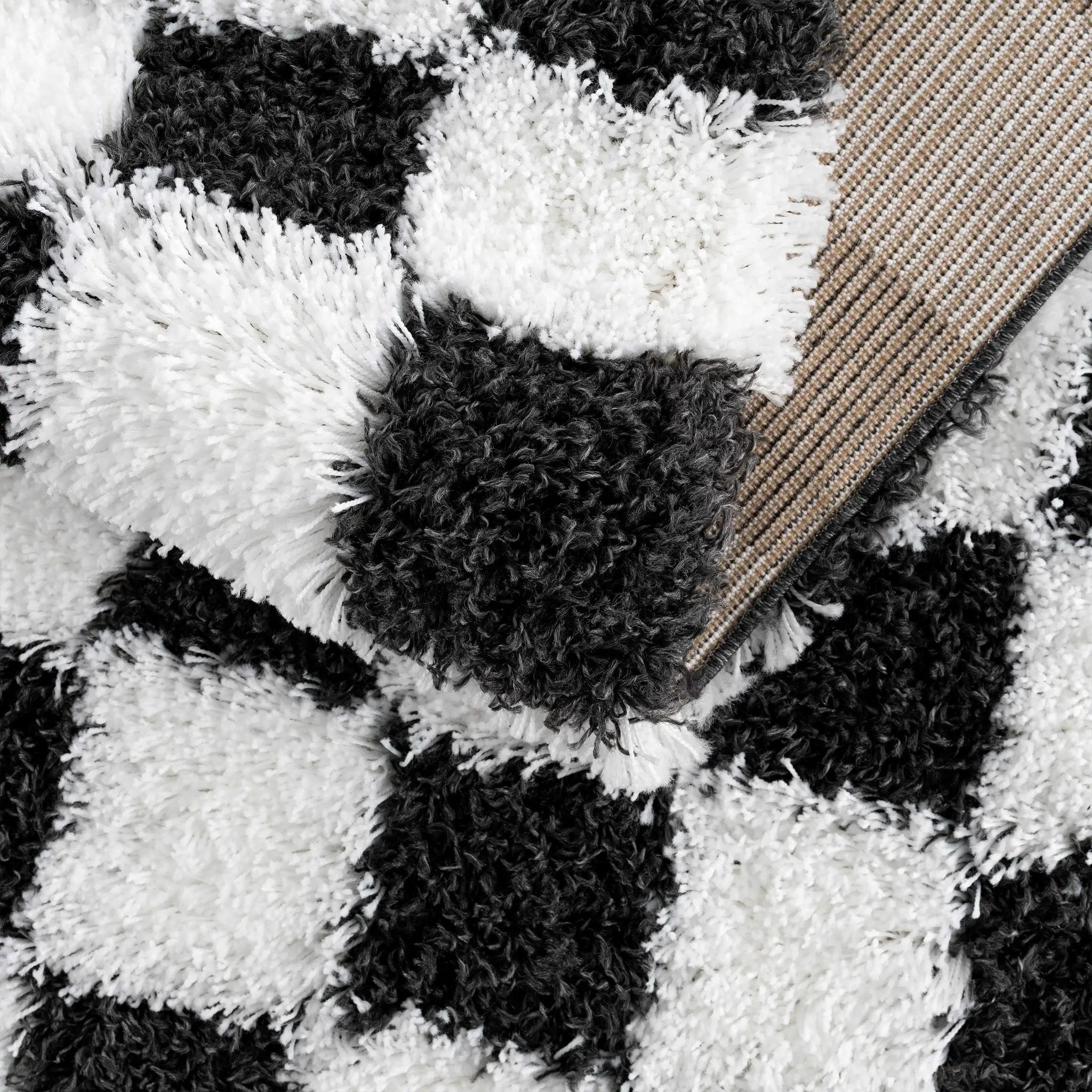 Atira Black & White Checkered Area Rug by Hauteloom