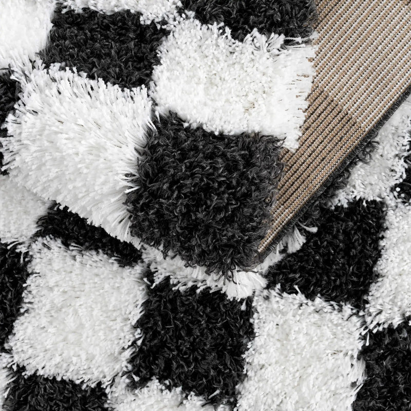 Atira Black & White Checkered Area Rug by Hauteloom
