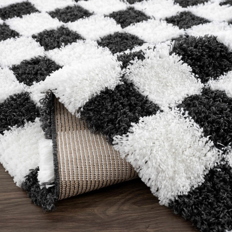Atira Black & White Checkered Area Rug by Hauteloom