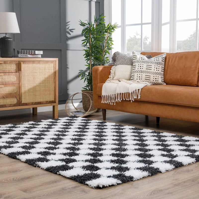Atira Black & White Checkered Area Rug by Hauteloom
