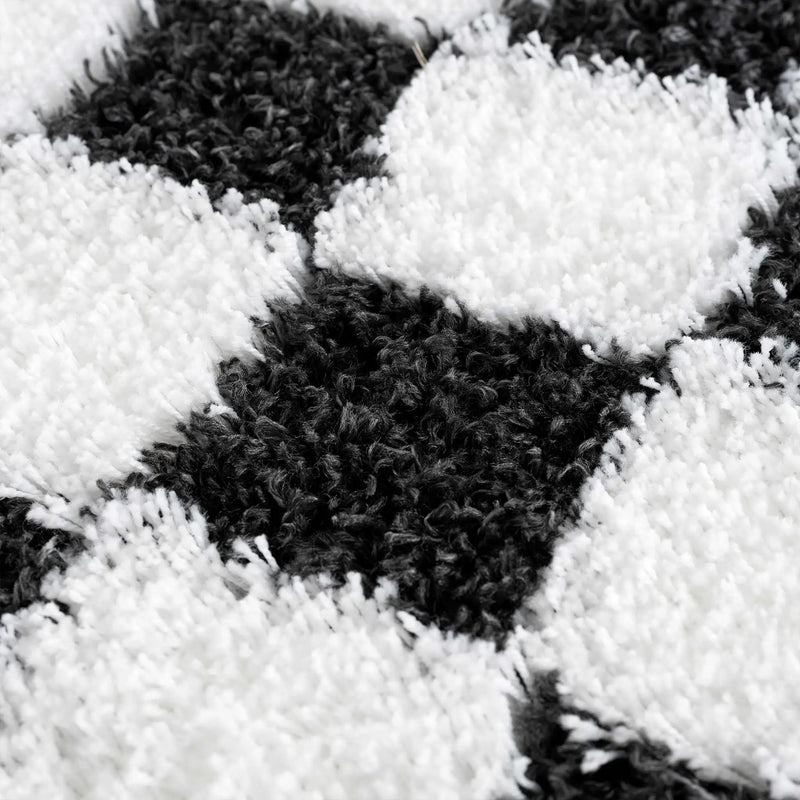Atira Black & White Checkered Area Rug by Hauteloom