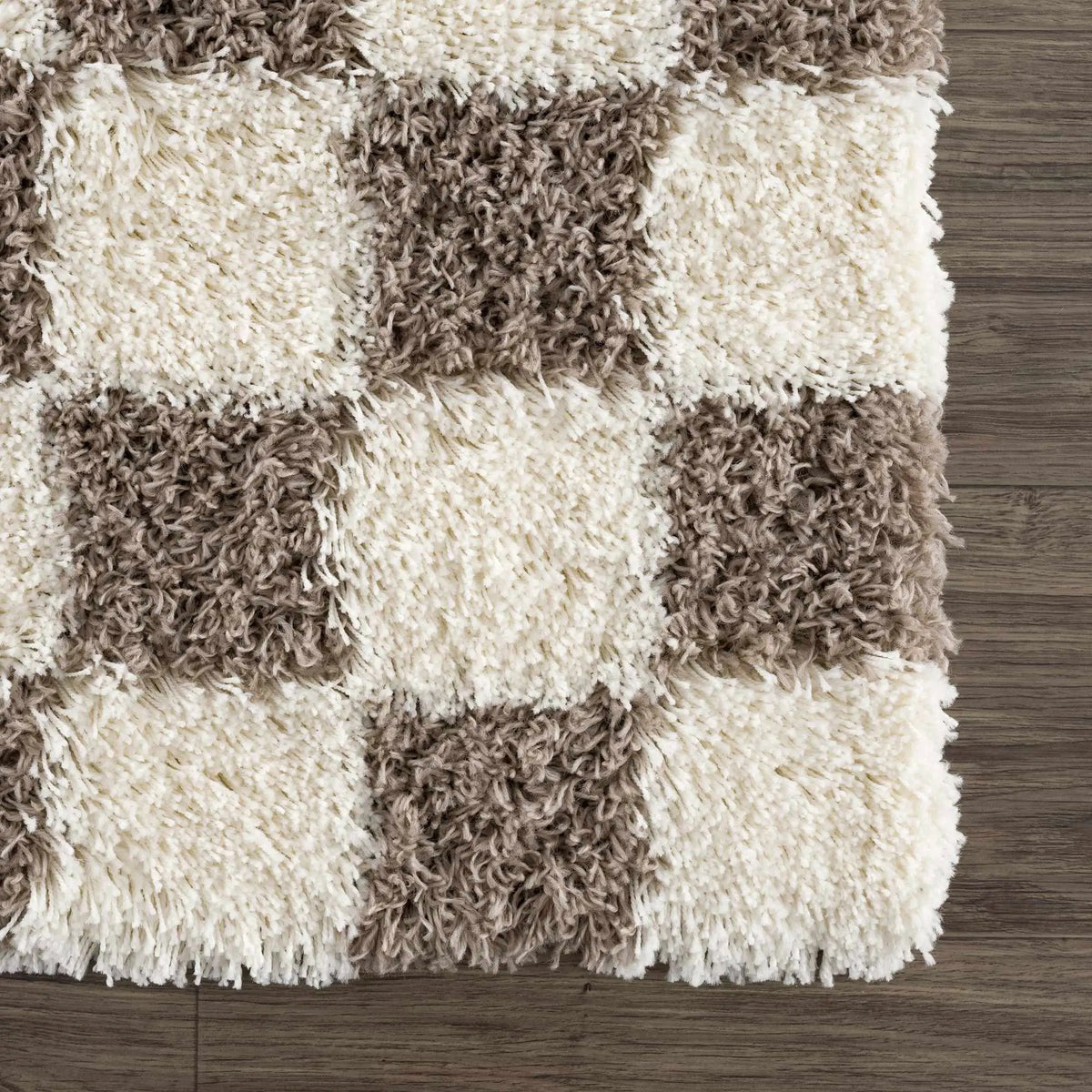 Atira Brown Checkered Area Rug, photo 11 of 16