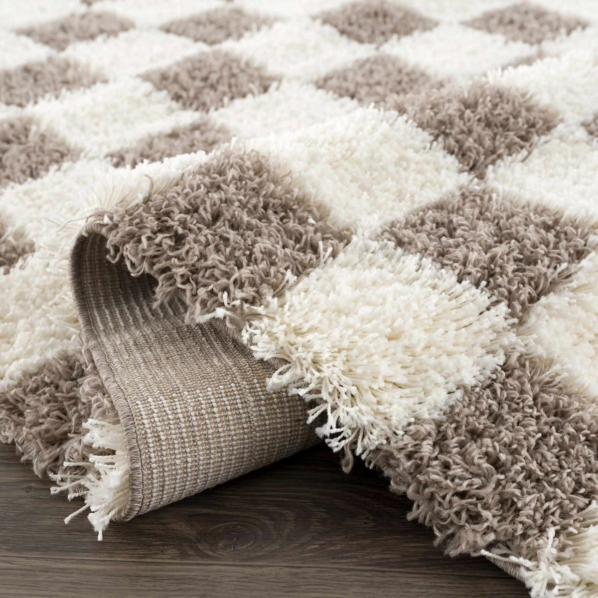 Atira Brown Checkered Area Rug, photo 8 of 16