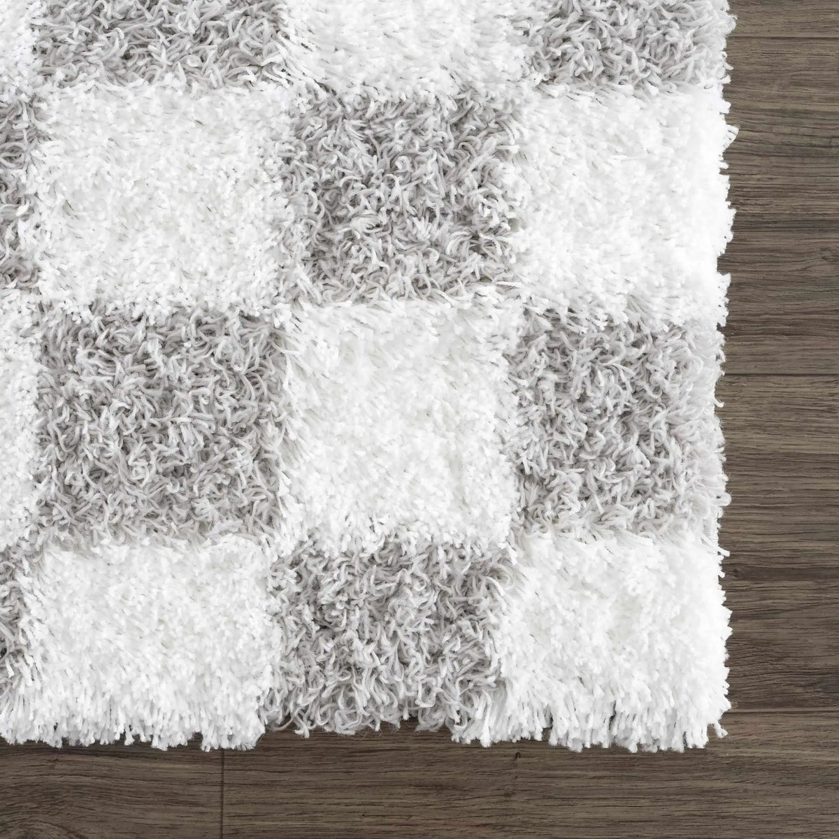 Atira Gray Checkered Area Rug, photo 9 of 14