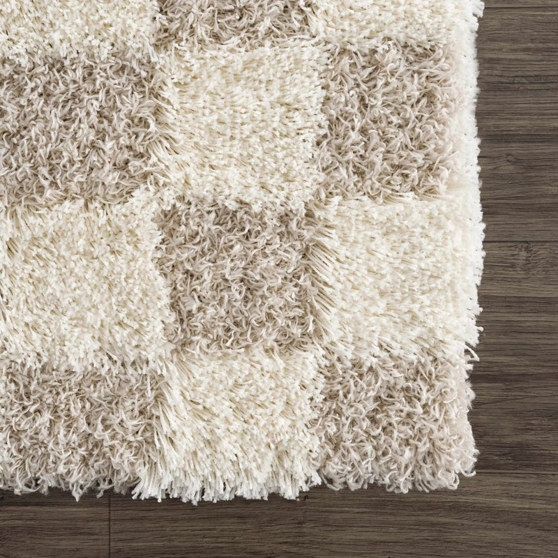 Atira Light Brown Checkered Area Rug by Hauteloom