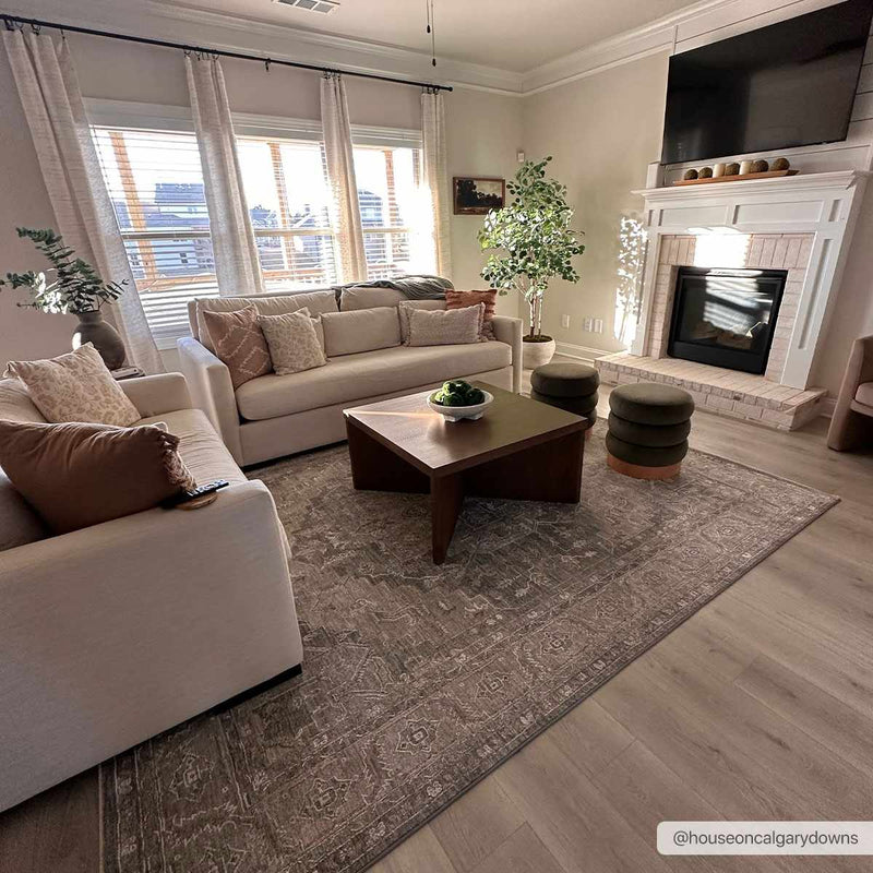 Ulubey Distressed Gray Thick Luxe Area Rug by Boutique Rugs