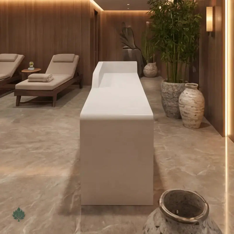 Nyssa · Front Reception Desk by Arc Grove
