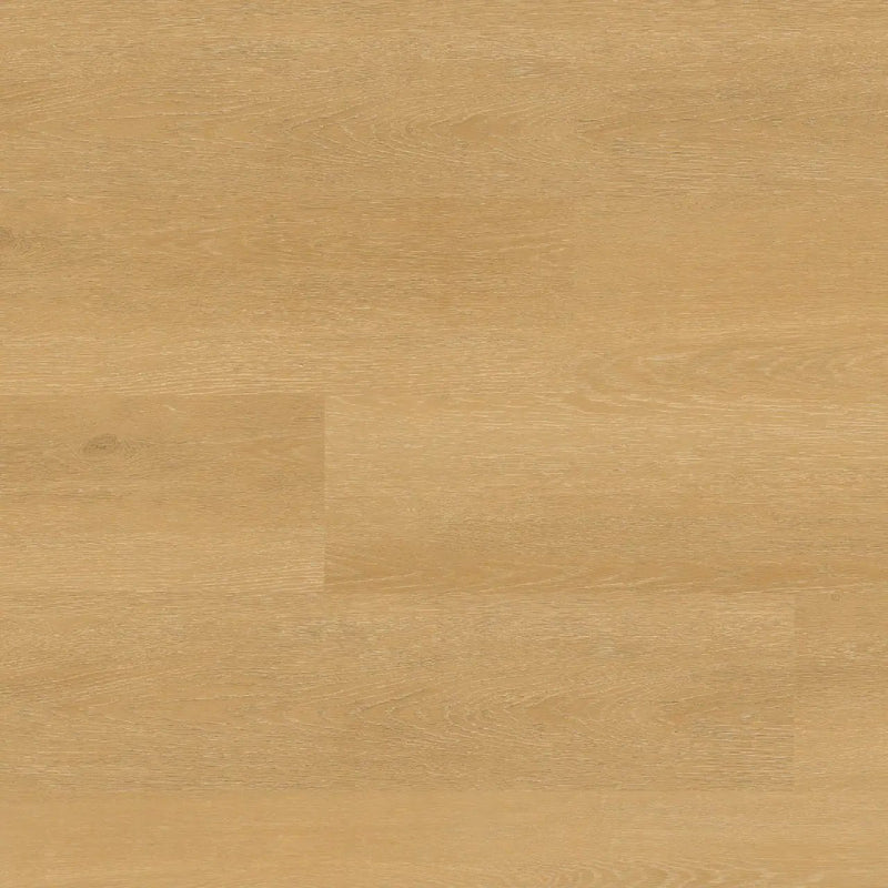 Nove Reserve Selbourne Matte Wood Look Lvt Planks 9x48 by MSI Surfaces