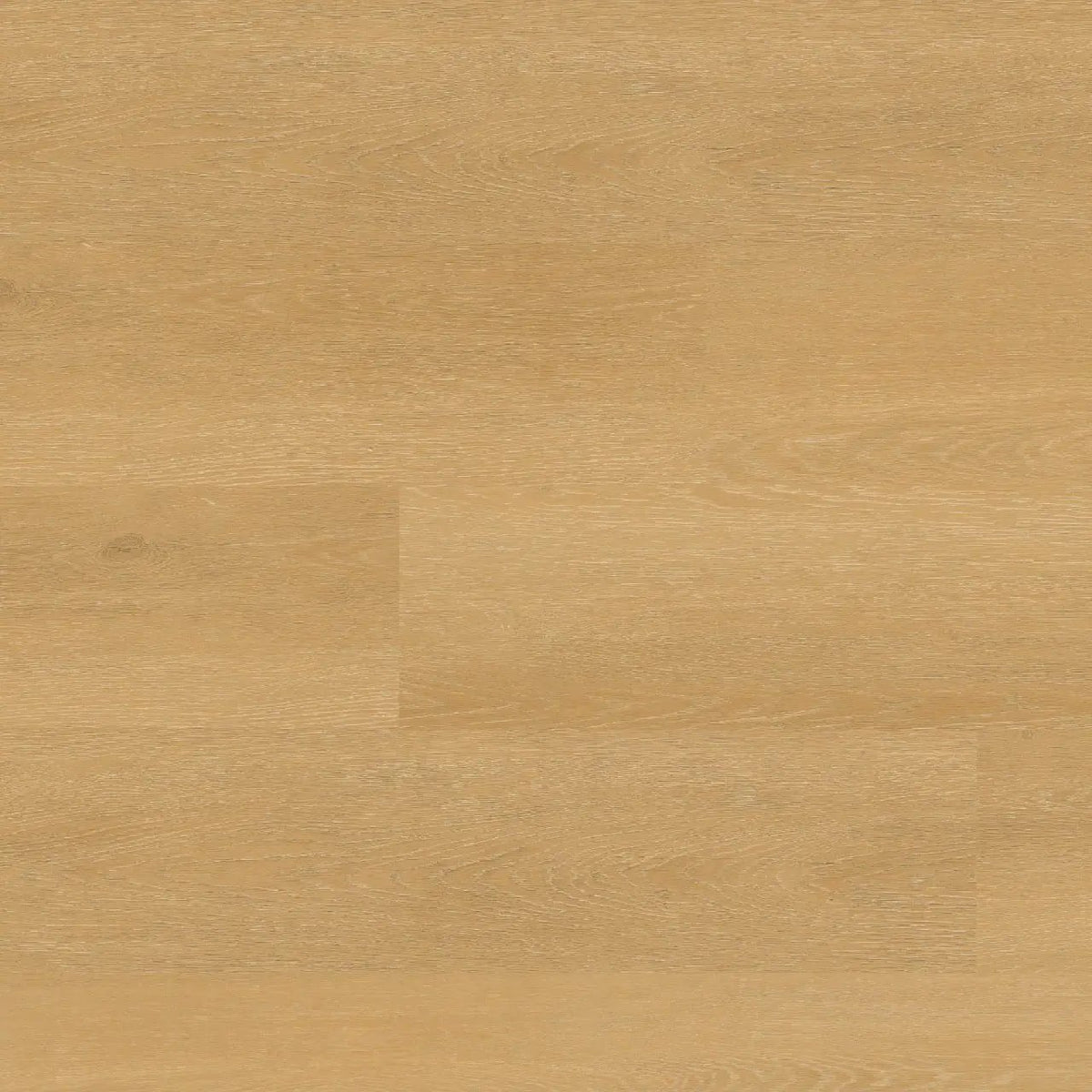 Nove Plus Selbourne Matte Wood Look Lvt Planks 9x48 by MSI Surfaces