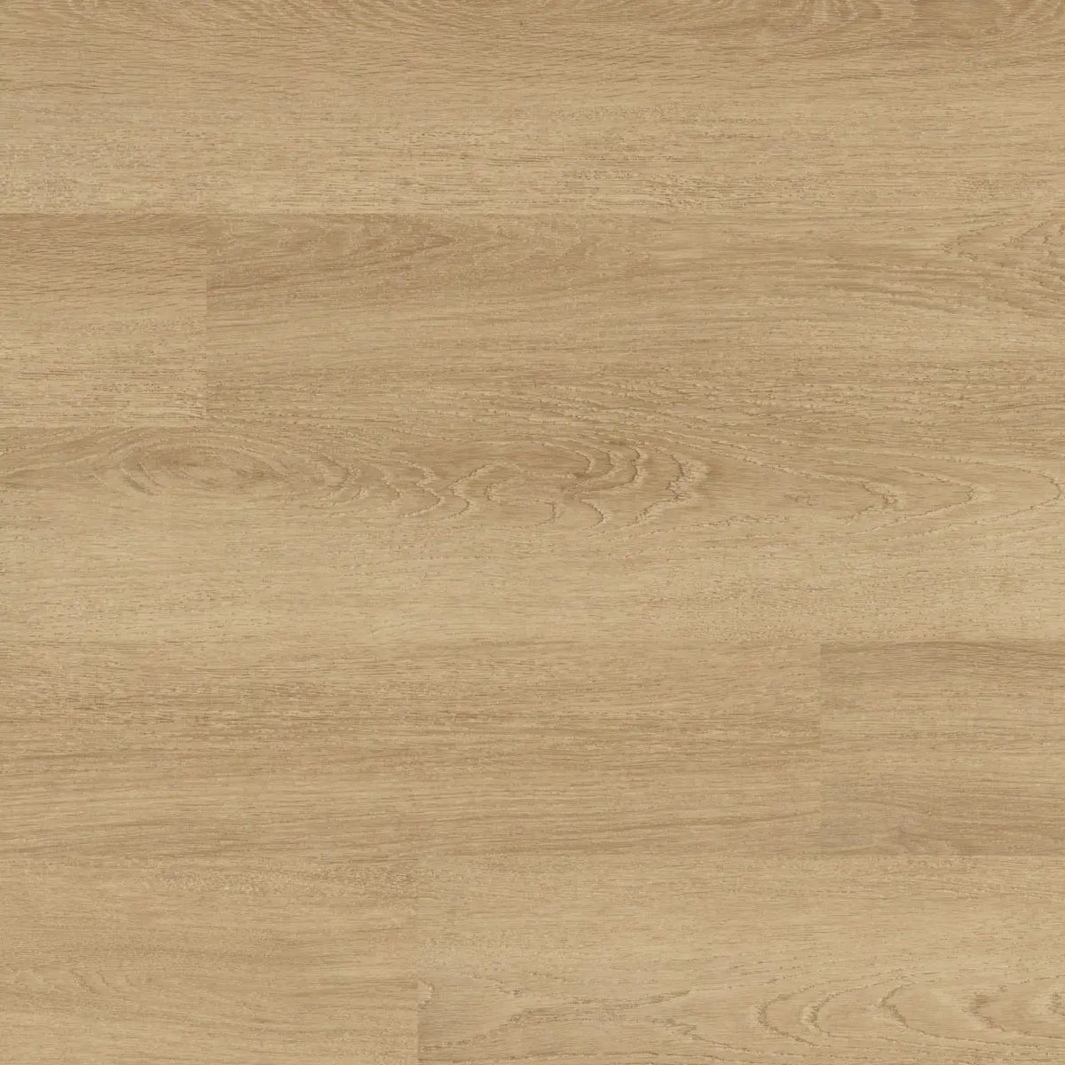 Acclima Waldorf Matte Wood Look Lvt Planks 7x48 by MSI Surfaces