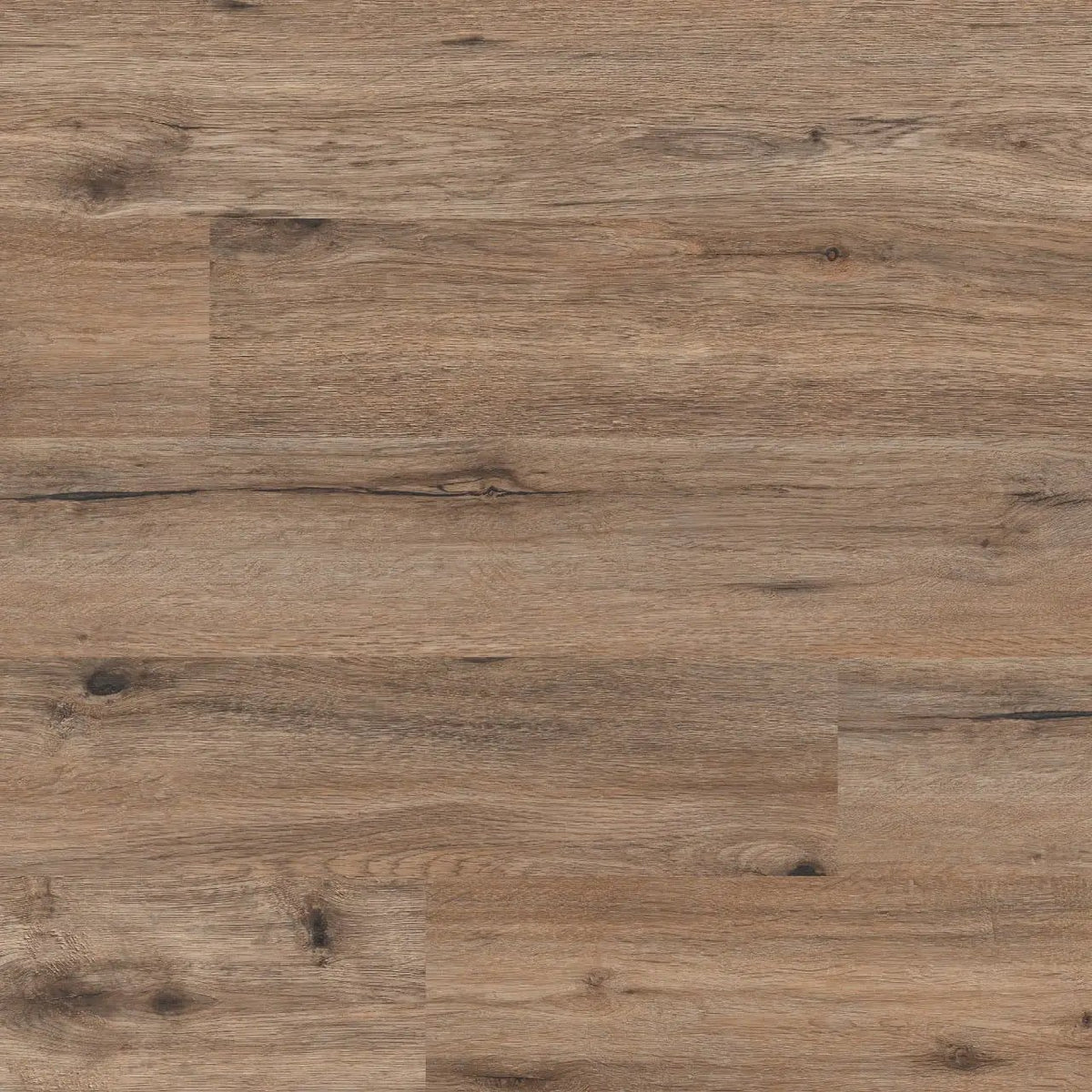 Cyrus Fauna Matte Wood Look Lvt Planks 7x48 by MSI Surfaces