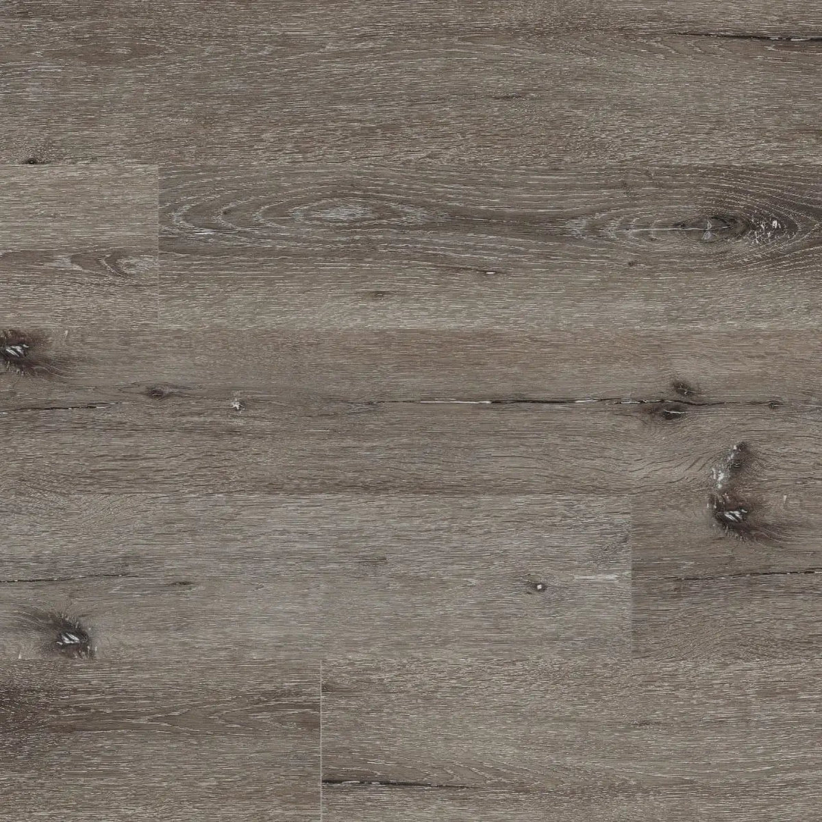 Cyrus Ludlow Matte Wood Look Lvt Planks 7x48 by MSI Surfaces