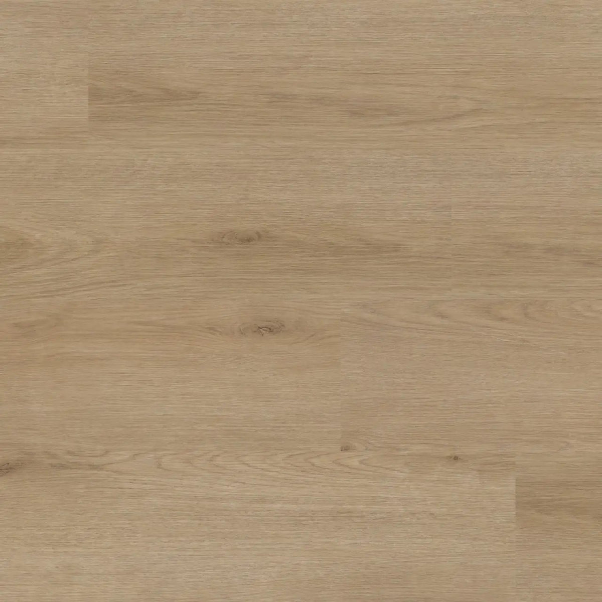 Xl Studio Bozeman Matte Wood Look Lvt Planks 9x60 by MSI Surfaces
