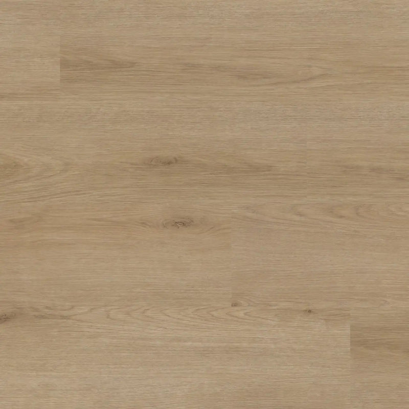 Xl Studio Bozeman Matte Wood Look Lvt Planks 9x60 by MSI Surfaces