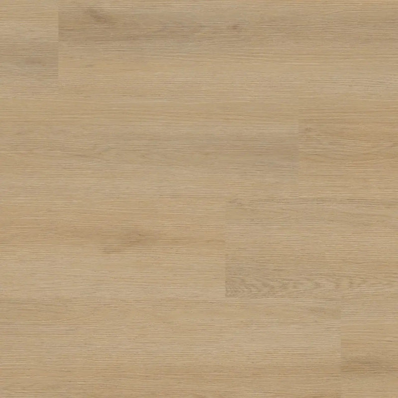 Xl Studio Quillian Matte Wood Look Lvt Planks 9x60 by MSI Surfaces