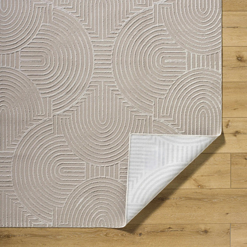 Aucoin Taupe 3D Rainbow Washable Area Rug by Boutique Rugs