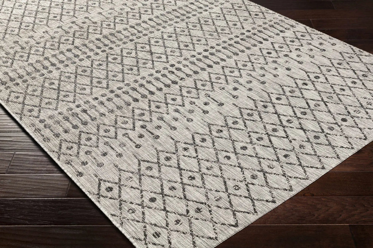 Wallkill Outdoor Area Rug, photo 6 of 18
