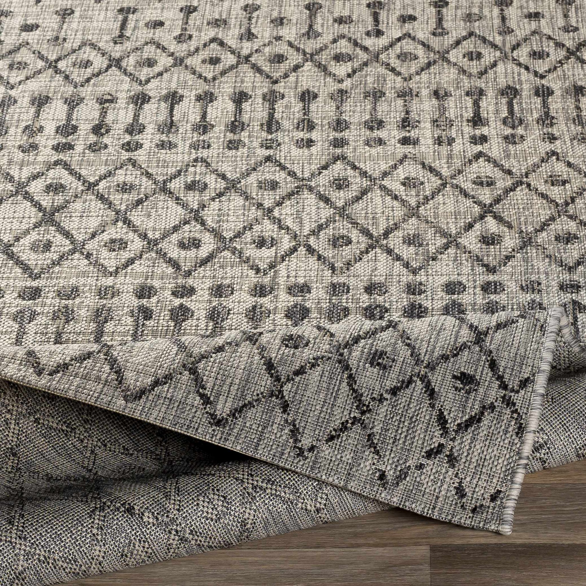 Wallkill Outdoor Area Rug by Boutique Rugs
