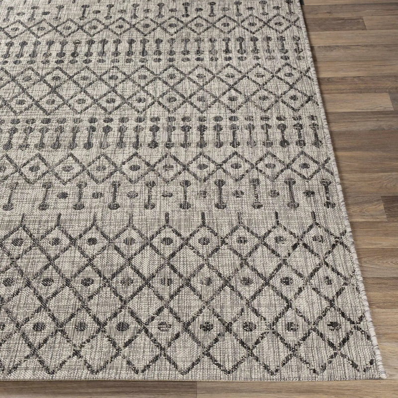 Wallkill Outdoor Area Rug by Boutique Rugs