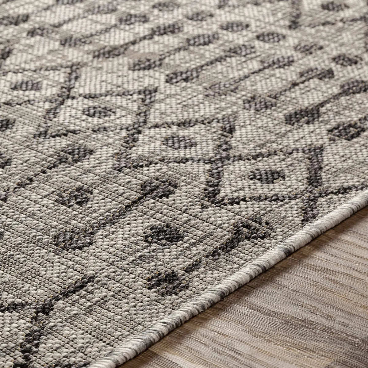 Wallkill Outdoor Area Rug, photo 7 of 18