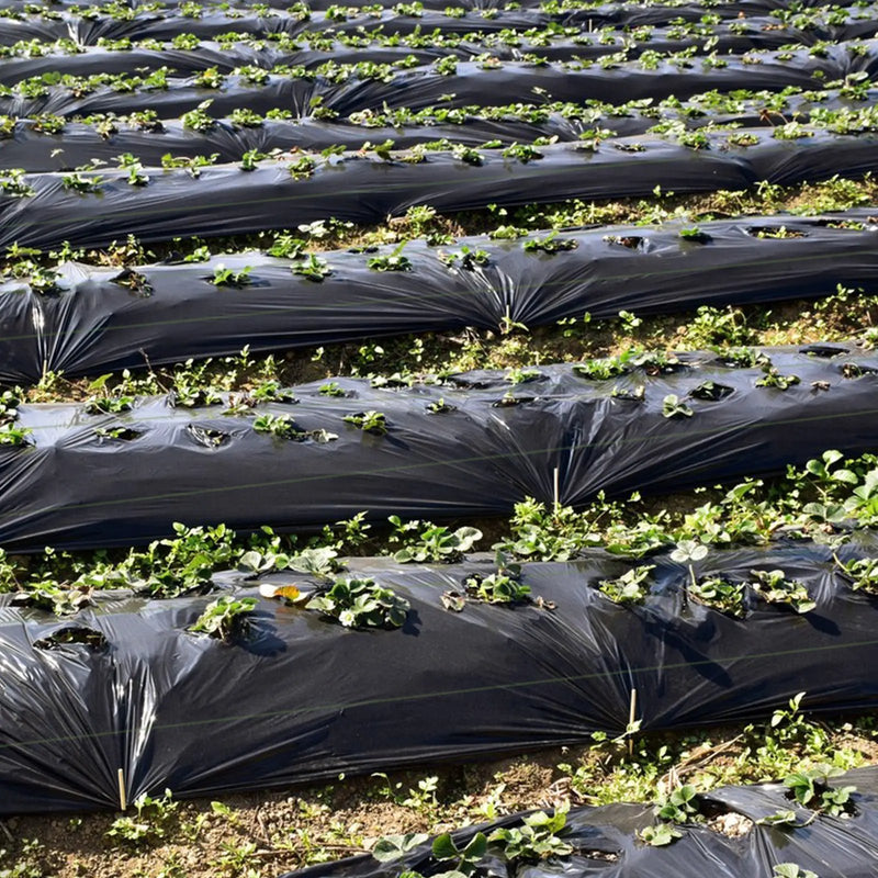 6.5 x 330/4 x 250/6 x 300 Feet Weed Barrier Landscape Fabric by DirectDeals