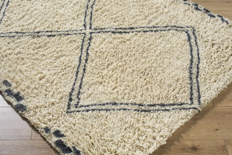 Audrey Area Rug by Boutique Rugs