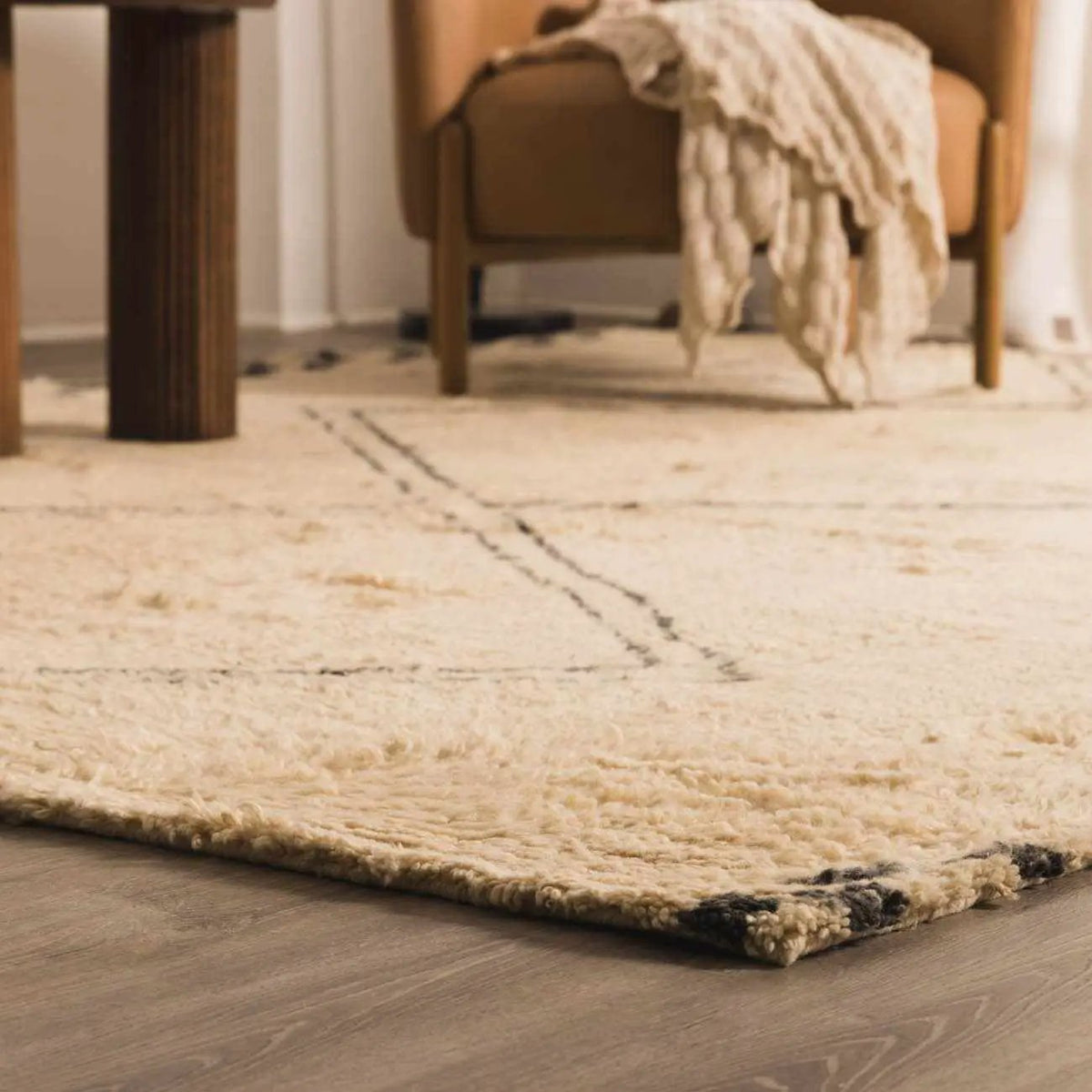 Audrey Area Rug, installed in a room 3