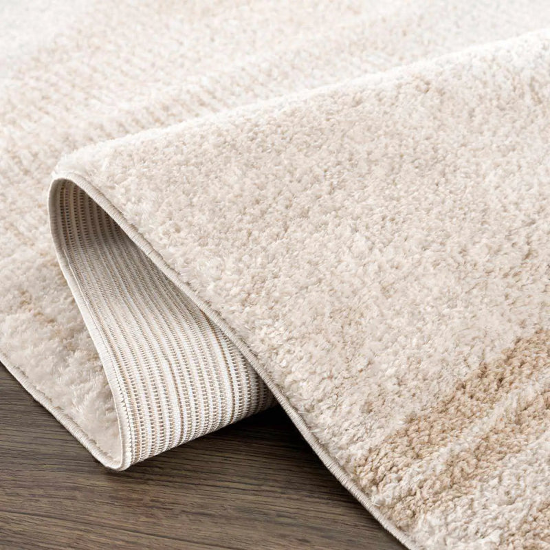 Apichu Beige Washable Area Rug by Boutique Rugs