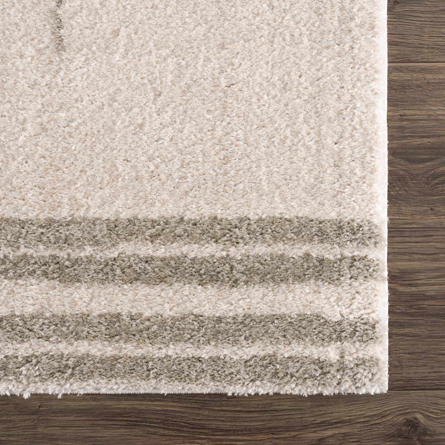 Apichu Gray Washable Area Rug by Boutique Rugs