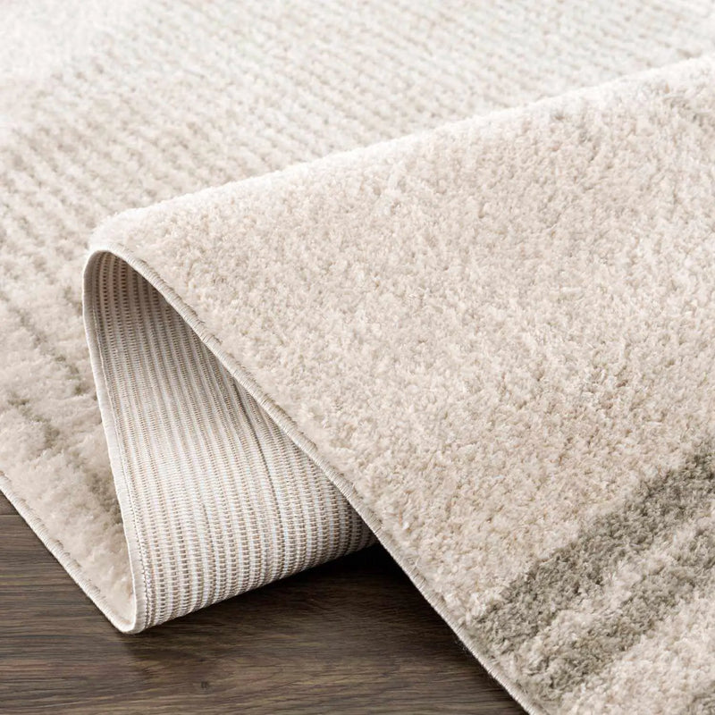 Apichu Gray Washable Area Rug by Boutique Rugs