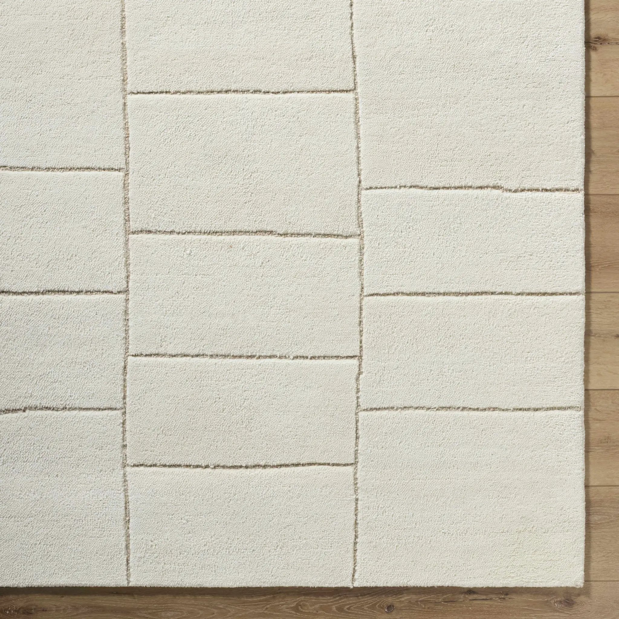 Xylia Beige Area Rug by Boutique Rugs