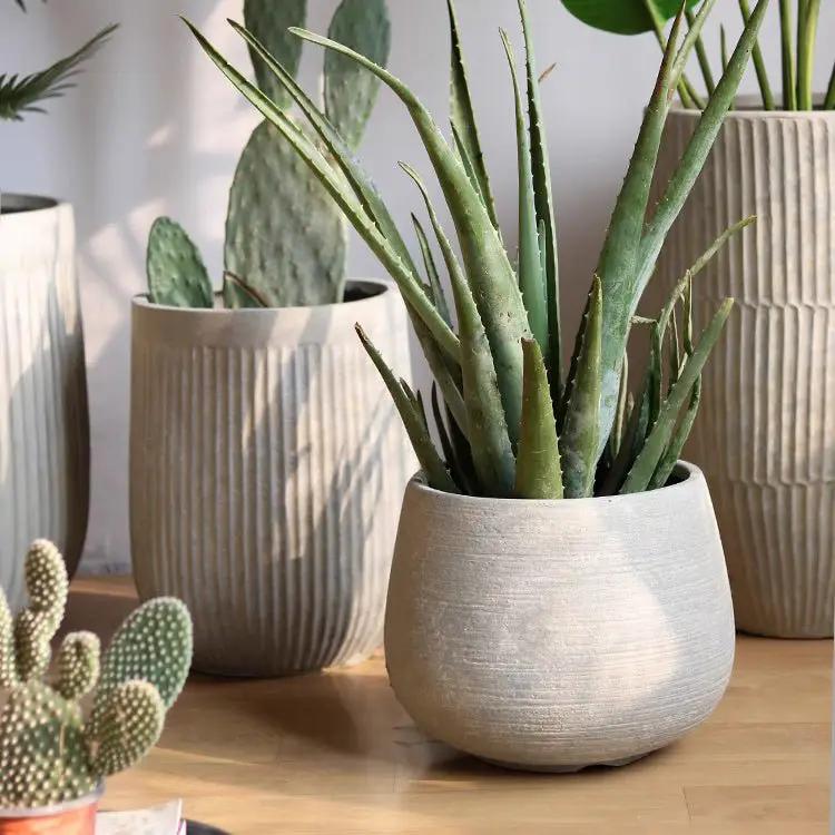 Rustic Globe Cement Planter by RusticReach