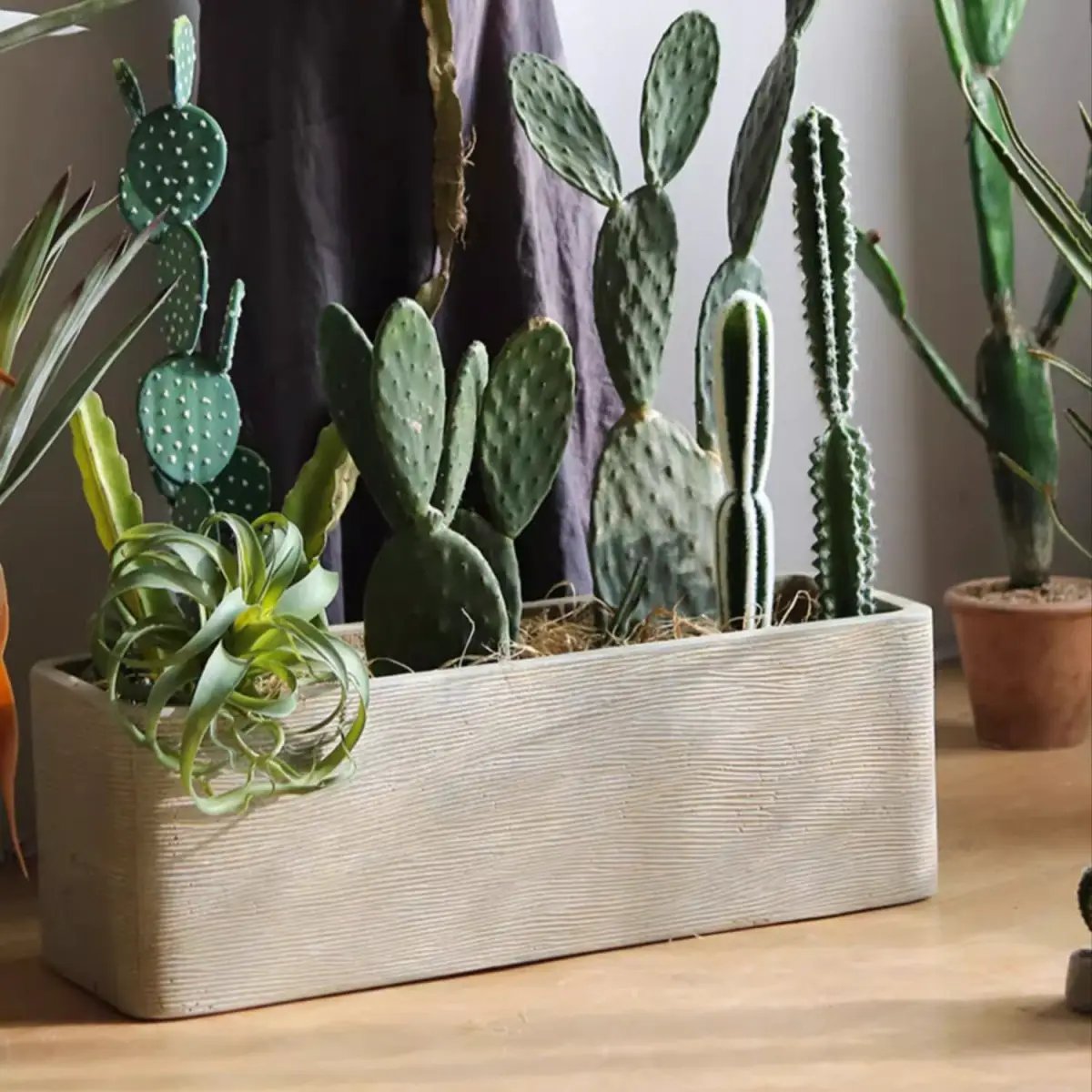 Modern Rectangular Textured Planter by RusticReach
