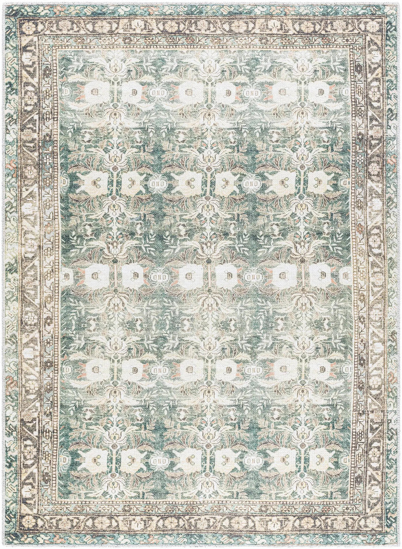 Acoose Vintage Flat Pile Washable Rug by Boutique Rugs