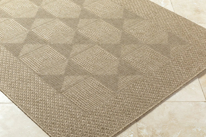 Anabia Brown Outdoor Area Rug by Boutique Rugs