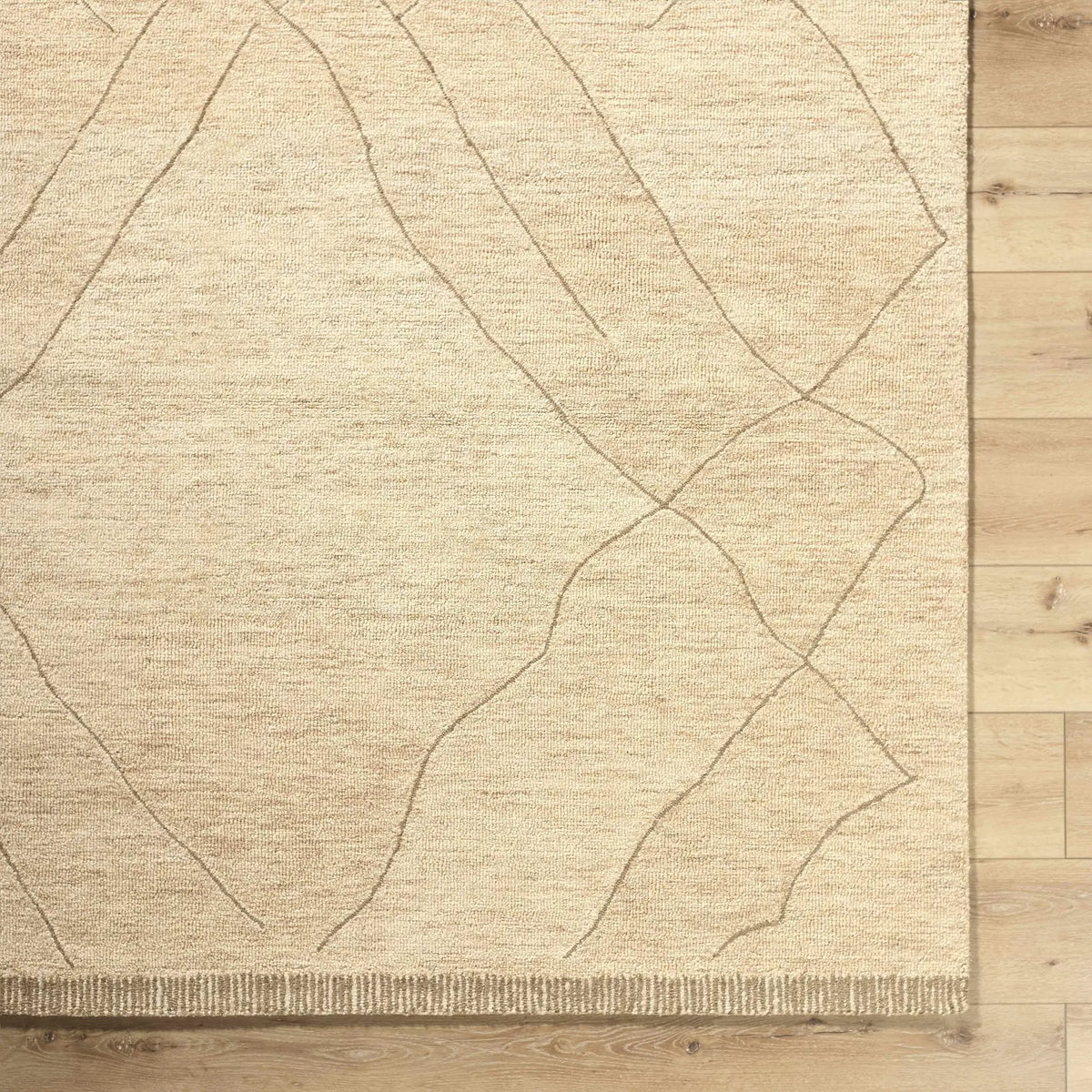 Addien Area Rug, photo 5 of 6
